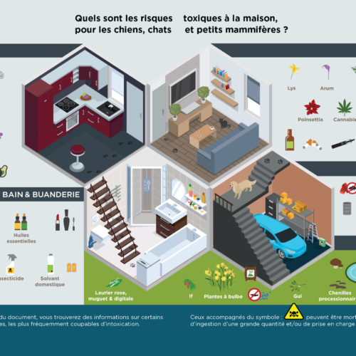 Dépliant-Intoxication-Le-coupable-peut-se-cacher-chez-vous-TVM