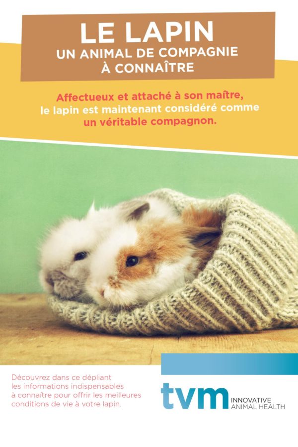 Dépliant lapin 1