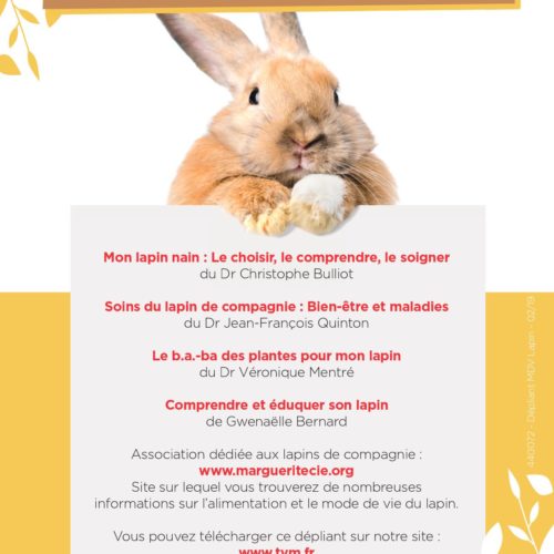 Dépliant lapin 5