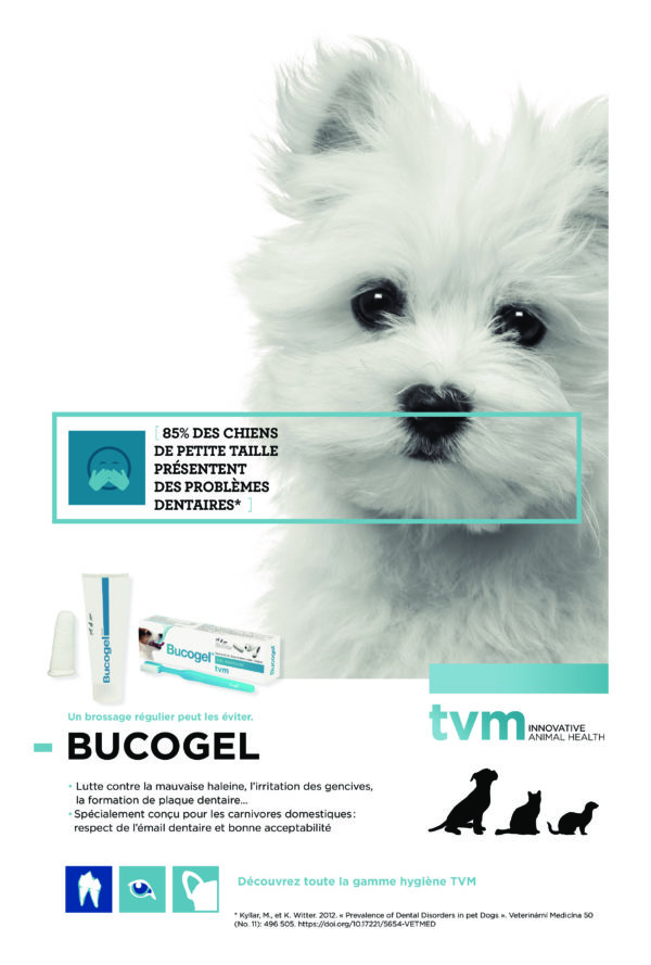 poster TVM - Hygiène des dents
