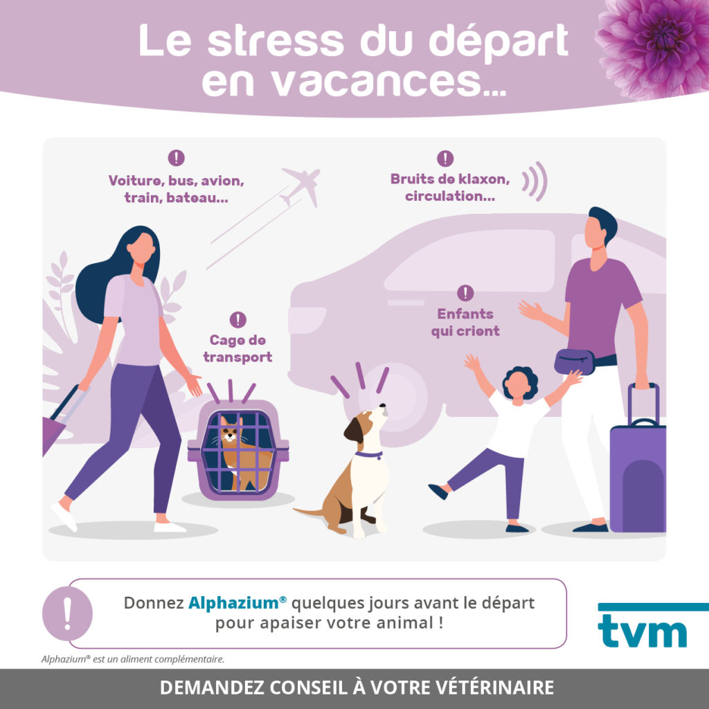 infographies Stress départ en vacances