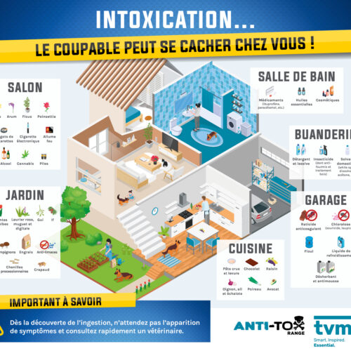 TVM_IntoxMaison_VisuelRS_712x605px_OK