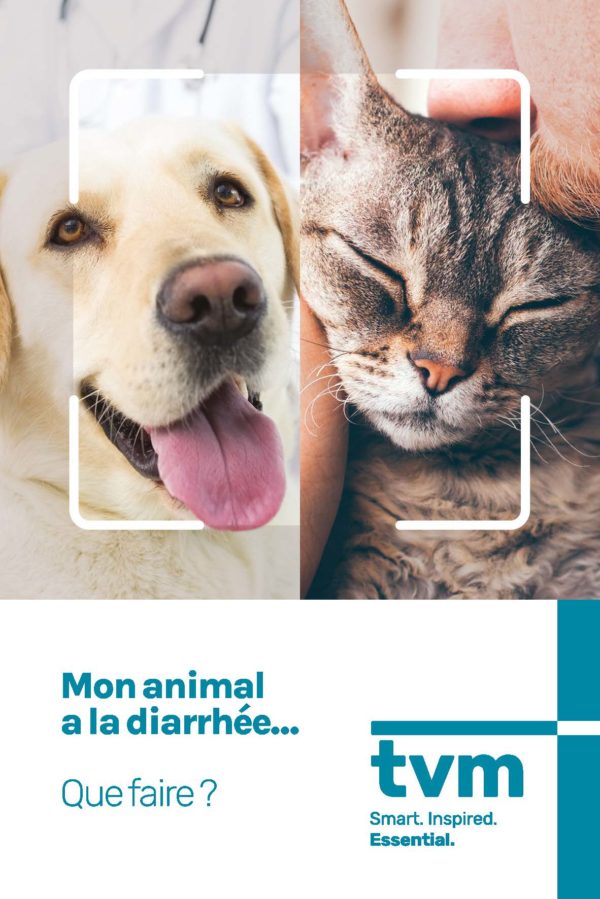 mon animal a la diarrhée, que faire ?