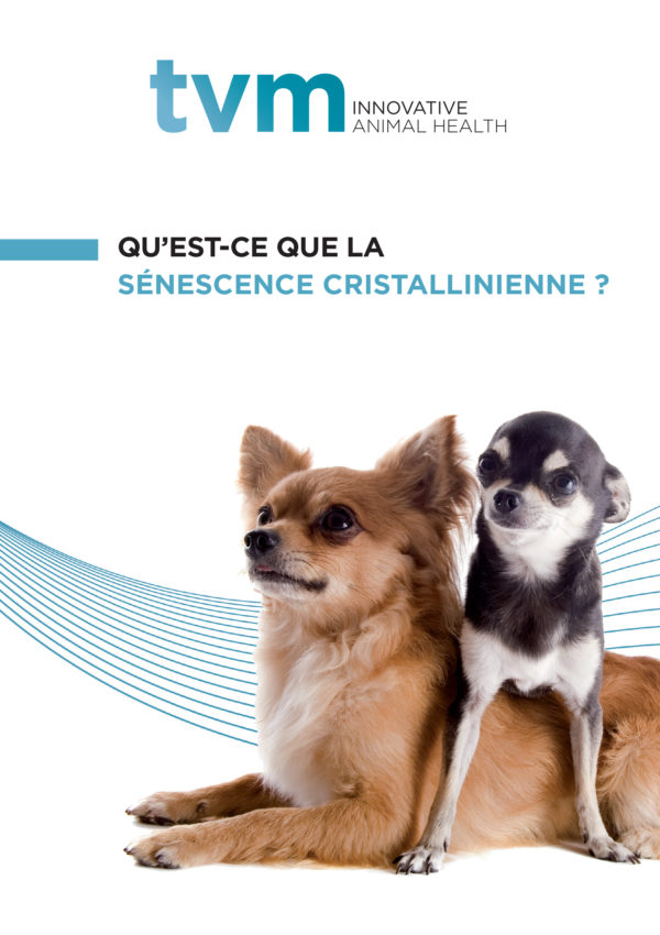 leaflet-senescence-cristallinienne-1