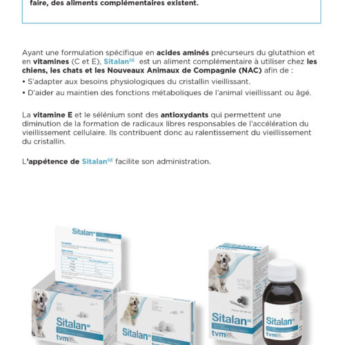 leaflet-senescence-cristallinienne-3