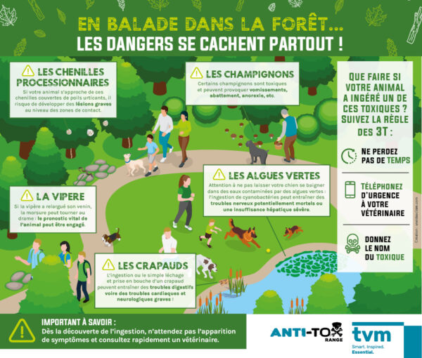 TVM_IntoxForet_VisuelRS_712x605px_OK