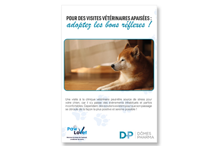Dépliant Pour des visites vétérinaires apaisées : adoptez les bons réflexes ! (unité : paquet de 25 ex.)